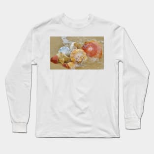 Seashells by the Seashore Long Sleeve T-Shirt